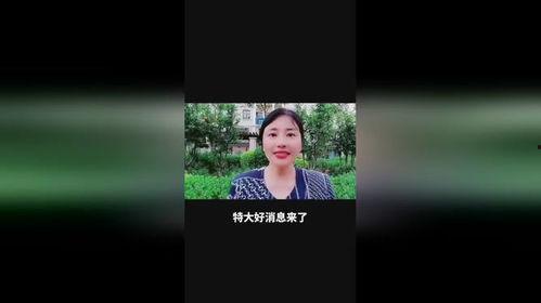 大家视频,大家视频深度解析