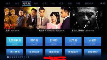 大家视频,大家视频深度解析
